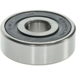  pavaros guolis, kintamosios srovės generatorius