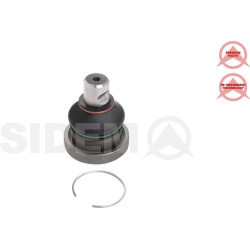  Šarnyras / girgždukas