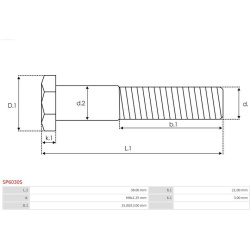  remonto komplektas, starteris