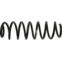 spyruoklė  spyruoklė