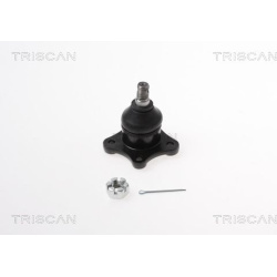 Šarnyras / girgždukas  Šarnyras / girgždukas