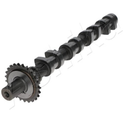  skirstomasis velenas