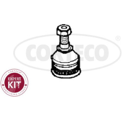  Šarnyras / girgždukas