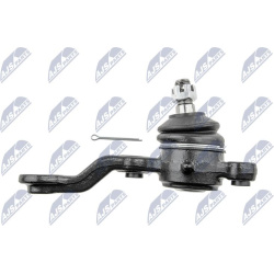  Šarnyras / girgždukas