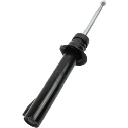 amortizatorius  amortizatorius