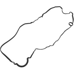  tarpiklis, svirties dangtis
