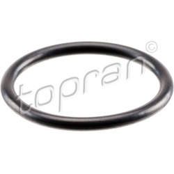  Sandarinimo žiedas, šaltnešio linija