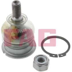  Šarnyras / girgždukas