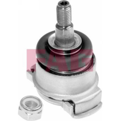  Šarnyras / girgždukas