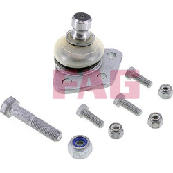  Šarnyras / girgždukas