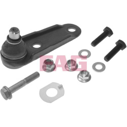  Šarnyras / girgždukas