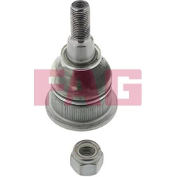  Šarnyras / girgždukas