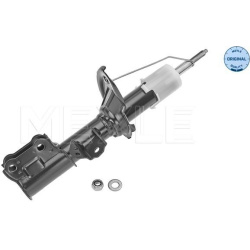 amortizatorius  amortizatorius