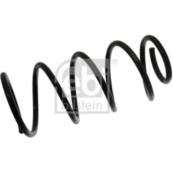 spyruoklė  spyruoklė