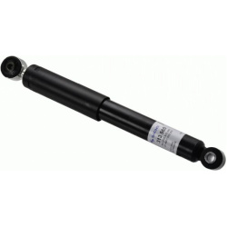 amortizatorius  amortizatorius