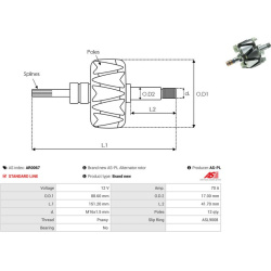  rotorius, kintamosios srovės generatorius