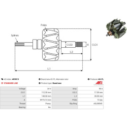  rotorius, kintamosios srovės generatorius