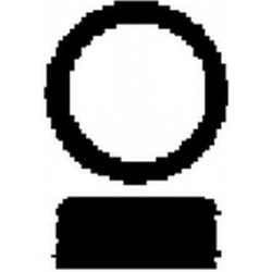  tarpiklis, įsiurbimo kolektorius