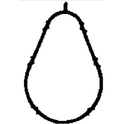  tarpiklis, įsiurbimo kolektorius