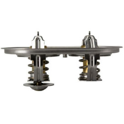  termostatas, aušinimo skystis