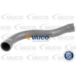  radiatoriaus žarna <small>Q+, original equipment manufacturer quality</small>