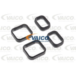  alyvos tarpiklis, automatinė pavarų dėžė <small>Original VAICO Quality</small>