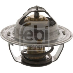  termostatas, aušinimo skystis