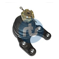  Šarnyras / girgždukas