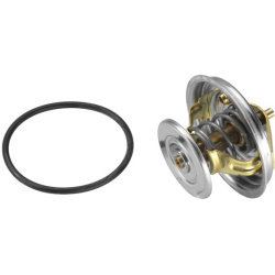  termostatas, aušinimo skystis