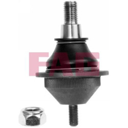  Šarnyras / girgždukas