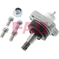  Šarnyras / girgždukas