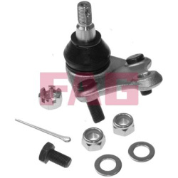  Šarnyras / girgždukas