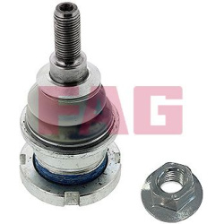  Šarnyras / girgždukas