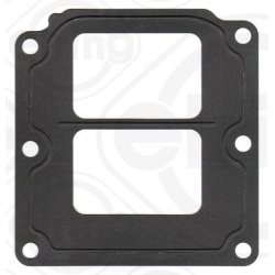  tarpiklis, EGR vožtuvas