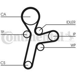  vandens siurblio ir paskirstymo diržo komplektas