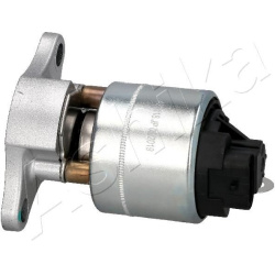 ERG vožtuvas  ERG vožtuvas